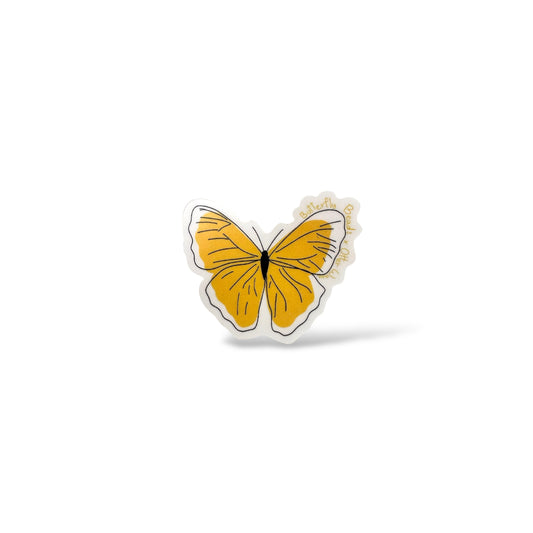 Yellow Butterfly!